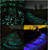 OGIFOAHC Glow in The Dark Rocks? Non-Toxic Glowing Stones for Use as Aquarium/Fish Tank Accessories or Indoor/Outdoor Decoration/Pathway/Garden(10...