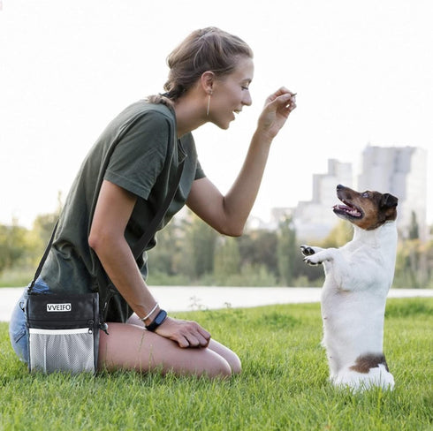 Dog Treat Pouch, Dog Training Pouch Bag with Waist Shoulder Strap, Durable, Convenient Dog Training Accessory, Suitable for small and large dogs, ...
