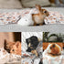 3 Pack Cat and Dog Blanket Soft & Warm Fleece Flannel Pet Blanket, Great Pet Throw for Puppy, Small Dog, Medium Dog & Large Dog Small(23"x15")...