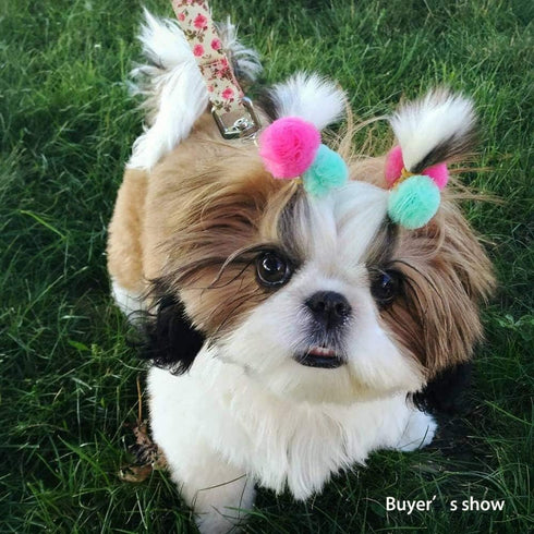 100pcs Small Pet Dog Hair Bows, Bulk Cute Dog Hair Round Puff Ball Pom Pom Bows with Rubber Bands, Mix Handmade Yorkie Dog Grooming Bows for Dog H...