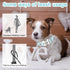 ARING PET Valentine's Day Dog Collar-Cute Blue Plaid Dog Collar, Adjustable Pet Collars Puppy Collar with Quick Release Buckle for Small Medium La...