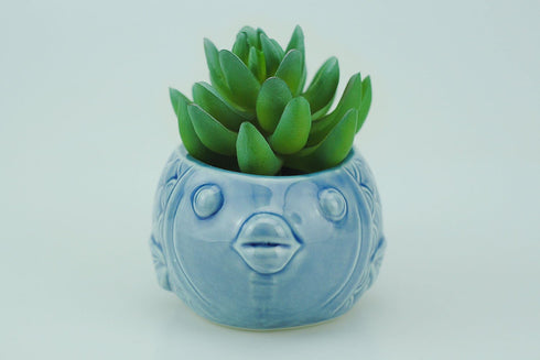 VanEnjoy 5" Ceramic Succulent Pot, Cute Ocean Blue Seashell Series, Conch Shaped Cactus Pot Planter, Flower Pot, Pottery Bonsai Pot (Seashell M)...