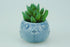 VanEnjoy 5" Ceramic Succulent Pot, Cute Ocean Blue Seashell Series, Conch Shaped Cactus Pot Planter, Flower Pot, Pottery Bonsai Pot (Seashell M)...