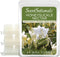 Scentsationals Wax Melts, Wax Cubes Strong Scent - Honeysuckle Nectar - Long Lasting Scented Melts for Warmer, 10oz (24-Cubes)...