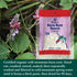 Eden Kuzu Root Starch, Organic, 3.5 Ounce...