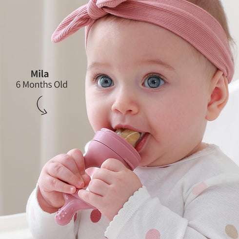 Baby Food Fruit Feeder and Breastmilk Popsicle Mold Set, Silicone Fruit Teether, Food Feeder Pacifier for Teething Relief, Freezer Tray, Baby Feed...