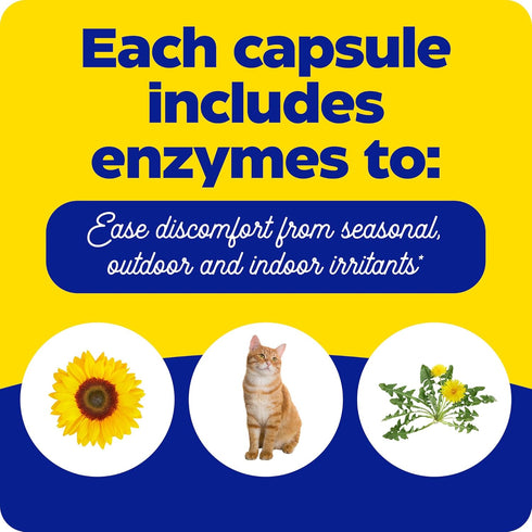 Enzymedica, Allerase, Non-Drowsy Enzyme Supplement to Help Relieve Seasonal Mucus Buildup, 60 Count...
