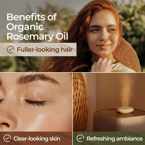 Gya Labs USDA Certified Organic Rosemary Essential Oil for Hair & Scalp - 100% Pure Natural Rosemary Oil Organic for Skin & Diffuser - Natural Aro...