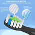 Toothbrush Heads Compatible with Bitvae D2 Electric Toothbrush, Soft Brush Bristles, 10 Pack Replacement Heads, White...
