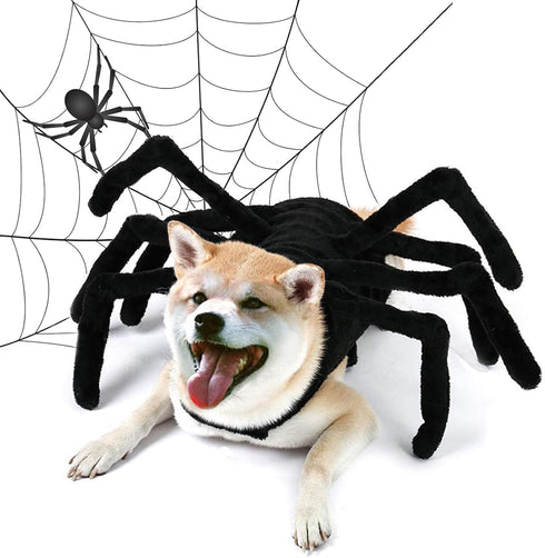 Dog Halloween Costumes, Halloween Spider Costume for Dog Cats, Pet Halloween Cosplay Dress Up Costume Accessories Decoration for Dogs Puppy (Size ...