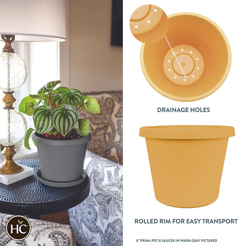 The HC Companies 6 Inch Round Prima Planter - Small Plastic Plant Pot with Rolled Rim for Indoor Outdoor Plants Flowers Herbs, Honey...