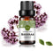 Rainbow Abby Marjoram Essential Oil 100% Pure Organic Plant Natural Flower Essential Oil for Diffuser, Massage, Sleep - 10ML...