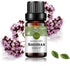 Rainbow Abby Marjoram Essential Oil 100% Pure Organic Plant Natural Flower Essential Oil for Diffuser, Massage, Sleep - 10ML...