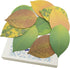 Cute Tree Leaf Sticky Notes/Paper Memo Self-Adhesive Notes, 3.93" x 2.45" 10 Pads/Pack, 25 Sheets/Pad (5 Colors)...