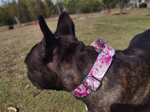 Adjustable Martingale Dog Collar Heavy Duty Nylon Dog Collar for Medium Large Dogs Walking Training Boy and Girl Dogs (XL, Pink)...