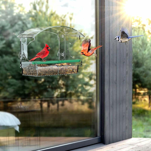 Clear Window Bird Feeder with 4 Strong Suction Cups and Detachable Seed Tray, Acrylic Birds Feeders for Outside Mounted Viewing Wild Birds Bird Ho...