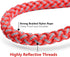Dog Training Leash for Small to Medium Dogs, Rope Dog Leash, Chew Proof and Reflective Dog Lead...