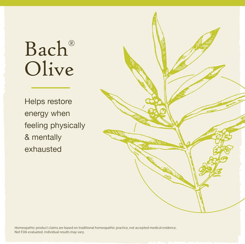 Bach Original Flower Remedies, Olive for Energy (Non-Alcohol Formula), Natural Homeopathic Flower Essence, Holistic Wellness and Stress Relief, Ve...