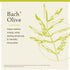 Bach Original Flower Remedies, Olive for Energy (Non-Alcohol Formula), Natural Homeopathic Flower Essence, Holistic Wellness and Stress Relief, Ve...