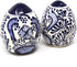 Encantada Handmade Hand-Painted Authentic Mexican Pottery, Salt and Pepper Shaker Set, Blue Flower (MC085F-K2)...