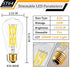 16W Dimmable ST64 Led Bulbs 5000K Daylight White Light Bulbs with 90+ Cri, E26 Base,Clear Glass,1920 lumen,Pack of 4...