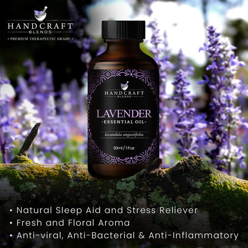 Handcraft Blends Lavender Essential Oil - 100% Pure and Natural - Premium Grade Essential Oil for Diffuser and Aromatherapy - 1 Fl Oz...