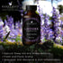 Handcraft Blends Lavender Essential Oil - 100% Pure and Natural - Premium Grade Essential Oil for Diffuser and Aromatherapy - 1 Fl Oz...