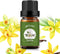 yethious Vanilla Essential Oils for Diffuser & Aromatherapy Pure Vanilla Oil for Skin Gift Oils - 10ML...