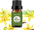 yethious Vanilla Essential Oils for Diffuser & Aromatherapy Pure Vanilla Oil for Skin Gift Oils - 10ML...