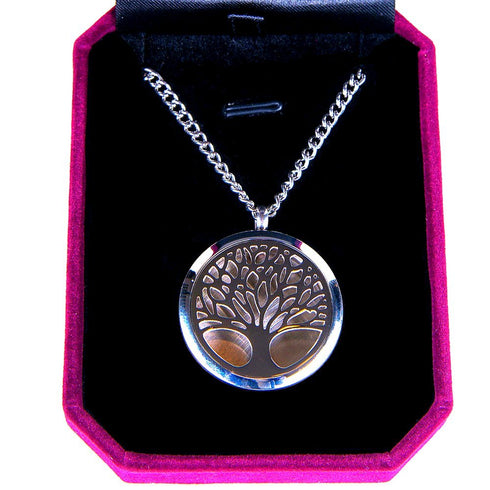 Aromatherapy Essential Oil Diffuser Necklace Pendant Locket Jewelry | 24’’ Adjustable Chain Stainless Steel Perfume Necklace | 10 Refill Pads | Gi...