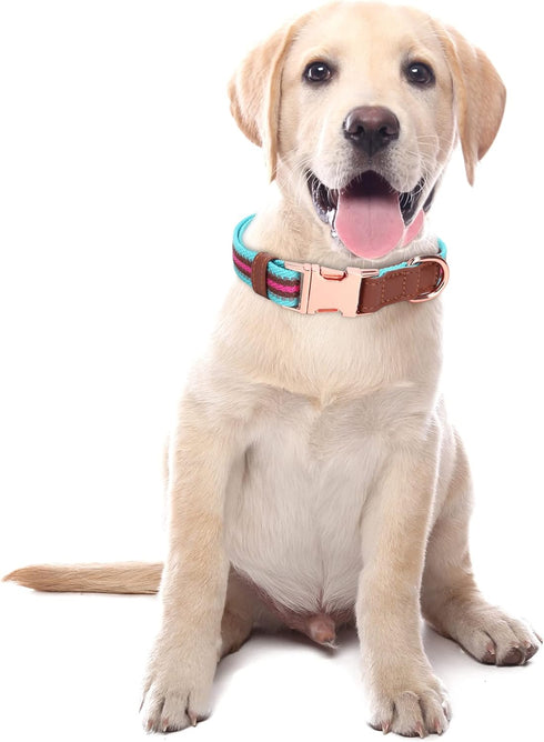 Dog Collar Reflective, Multi-Colored Stripe Dog Collar, Soft Adjustable Dog Collars with Metal Buckle for Small Medium Large Dogs, Perfect Pet Col...