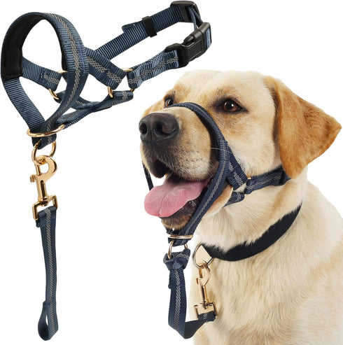 BARKLESS Dog Head Collar, No Pull Dog Halter with Soft Padding, Reflective Training Tool for Medium Large Dogs, Labrador, Stops Heavy Pulling and ...