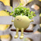 Face Plant Pot,Succulent Pots,Small Flower Pots,Gift Planter with Drainage Hole,Unique Cute Plastic Flower Pot with Face,Novelty Planter,Hanging P...