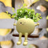 Face Plant Pot,Succulent Pots,Small Flower Pots,Gift Planter with Drainage Hole,Unique Cute Plastic Flower Pot with Face,Novelty Planter,Hanging P...