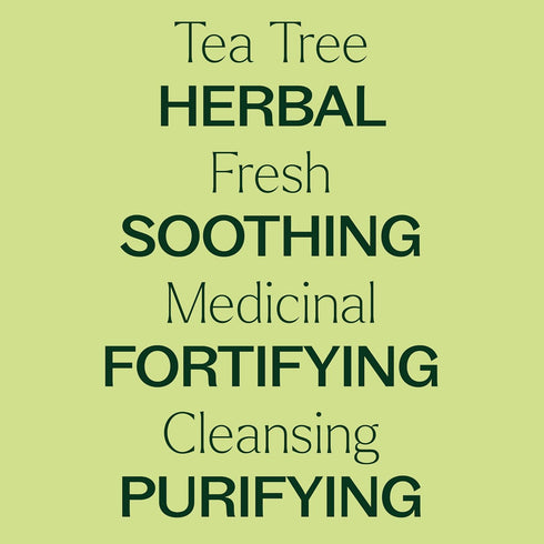 Plant Therapy Tea Tree Essential Oil 100% Pure, Undiluted, Natural Aromatherapy, Therapeutic Grade 10 mL (1/3 oz)...