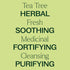Plant Therapy Tea Tree Essential Oil 100% Pure, Undiluted, Natural Aromatherapy, Therapeutic Grade 10 mL (1/3 oz)...