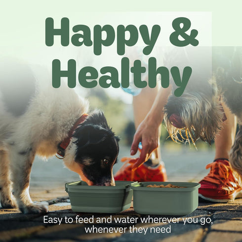 Collapsible Dog Water Bowl 30oz, 2 in 1 Portable Travel Dog Food Bowl with Lid, Easy Carry Loop Handle, Foldable Dog and Cat Food Bowl, Perfect fo...