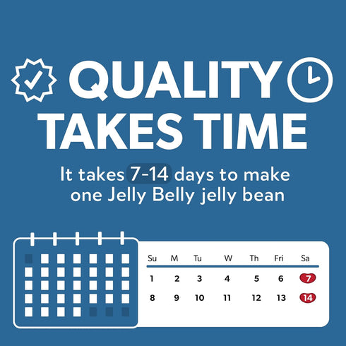 Jelly Belly Sugar Free - 8.25 oz Bag - Official, Genuine, Straight from the Source...