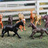 Safari Ltd. Horses TOOB - 12 Hand-Painted Mini Figurines Including Friesian, Haflinger, Stallion, Bay, Chestnut, Jutland, Trakehner, Clydesdale, &...