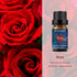 BURIBURI Rose Essential Oil for Diffuser, Massage, Soap, Candle, Perfume Making - 100% Pure, Undiluted, Natural, Organic Aromatherapy - 10ml - Rom...