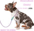 No Pull Dog Leash Slip Lead Dog Leash Dog Leash for Small Medium Large Dogs 6Ft 8 Colors Classic Dog Leash Dog Rope (Purple)...