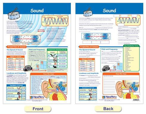 NewPath Learning Light & Sound Bulletin Board Charts, Set/2 - Laminated, Double-Sided, Full-Color, 12" x 18" (94-9005)...
