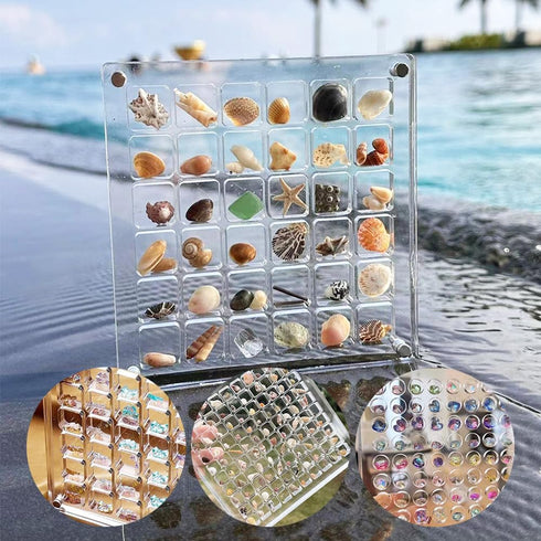 Acrylic Magnetic Seashell Display Box, Seashell Collection Box and Jewellery Display Box, Collection of Seashells for Display, Small Crafts Storag...