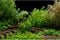 AWERT Aquarium Background River Bed & Lake Aquatic Plant Fish Tank Background Vinyl 72x18 inches...