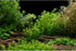 AWERT Aquarium Background River Bed & Lake Aquatic Plant Fish Tank Background Vinyl 72x18 inches...