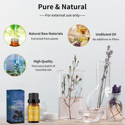 BURIBURI Hotel Scent Essential Oil, Lifestyle Hotel Collection Fragrance Aromatherapy Oil Blends, Air Freshener Hotel Collection Diffuser Oil - Yi...