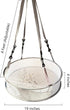 19" Seed/Shell Catcher for Bird Feeders Platform 19 x 19 x 4 inches Birdseed Hoop Outdoor Garden Hanging Tray (White)...