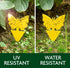 Fruit Fly Sticky Traps (40-Pack) - Ready-to-Use Plant Traps for Fruit Flies, Moths, Gnats, Aphids, and Flying Insects - Yellow Sticky Bug Trap wit...