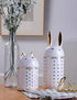 HAUCOZE Cat Cookie Jar Decorative Candy Jar with Lid Modern Arts Gifts Ceramic 8.1inch...