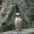 DOG ARTS JP Penguin Made in UK Artistic Style Animal Figurine Collection...